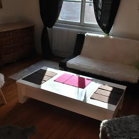 Au Canard Bleu Apartment