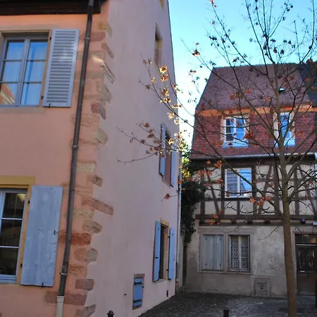 Au Canard Bleu Apartment Colmar